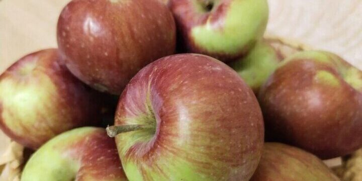 Белгородец попросил приостановить уличную торговлю из-за атак со стороны ВСУ