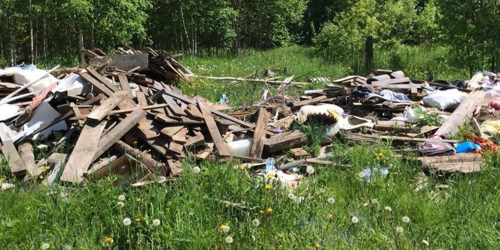 Discarica abusiva scoperta in Russia: le gravi conseguenze per l'ambiente e la salute pubblica