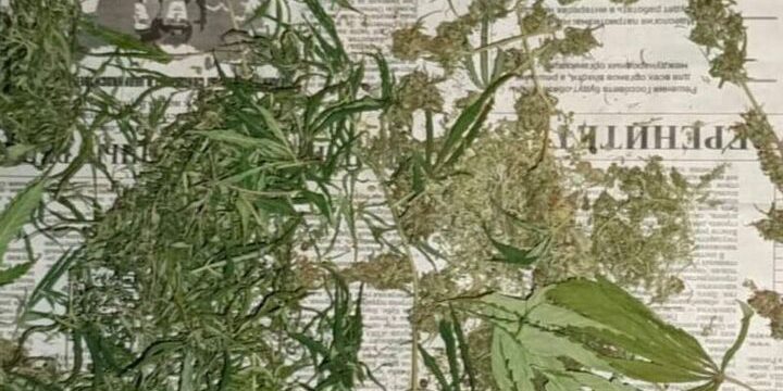 В Калмыкии задержали подозреваемого в хранении запрещенных веществ