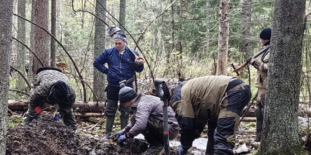 Возле Вырицы нашли останки 8 красноармейцев, не сумевших выйти из окружения