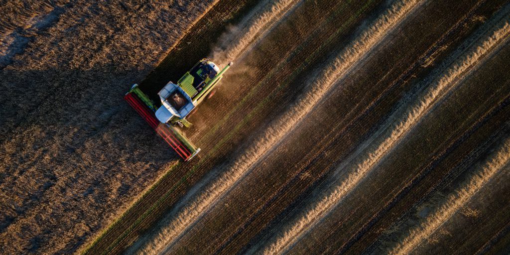 Commissione Europea chiede a Ungheria, Slovacchia e Polonia di revocare restrizioni alle importazioni di prodotti agricoli ucraini dopo l'entrata in vigore del nuovo accordo commerciale UE-Ucraina