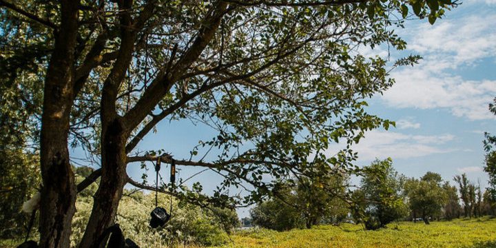 Народные приметы на 13 октября 2025 года: что нельзя делать в день Михаила Соломенного