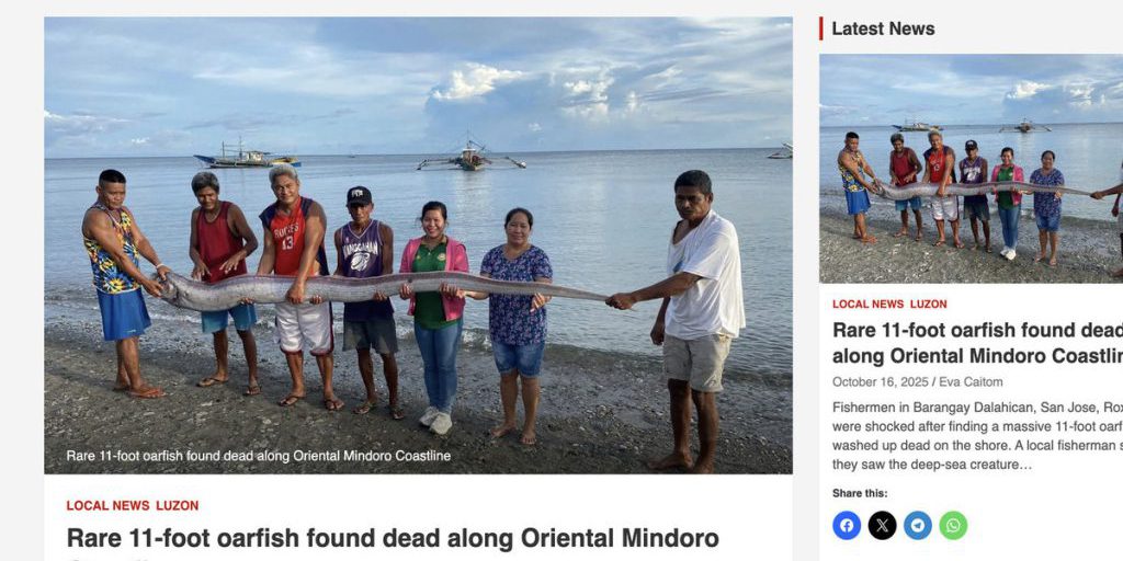 В популярной у туристов стране на берег вынесло обещающее катаклизмы существо