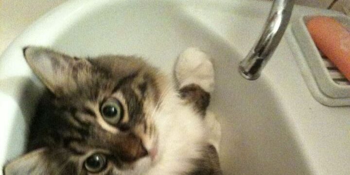 Весь Волхов отключили от водоснабжения из-за аварии