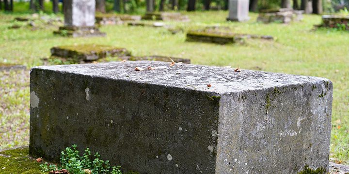 В Великом Новгороде обнаружили древнее кладбище, которое распахали в XIII веке