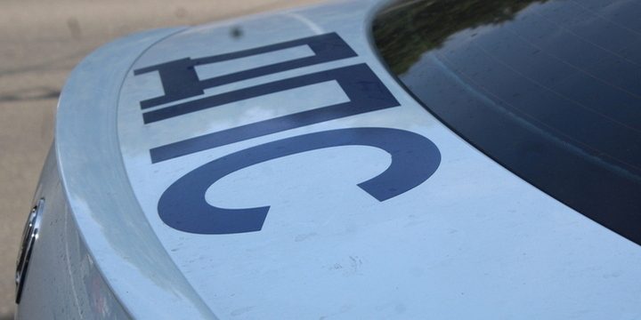 Туляка, сбившегося лося на трассе, лишили прав на год