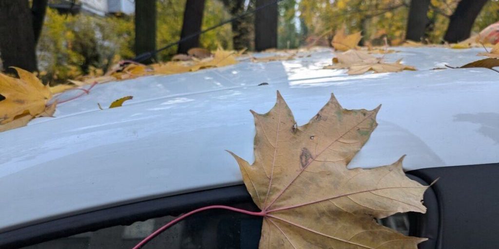 Стало известно, какие сюрпризы преподнесет погода воронежцам 14 октября