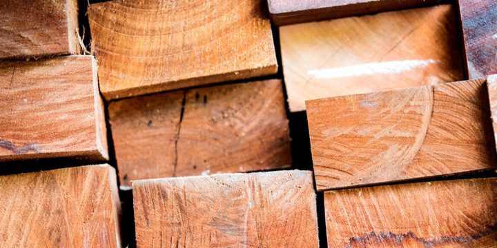 Предпринимать в Брянскую область незаконно ввозил лес из Беларуси