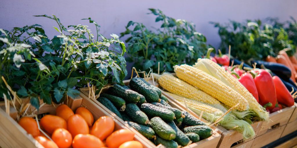 Гастроэнтеролог из Волгограда назвала идеальный прием пищи