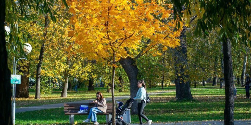 Очередной теплый день ожидает жителей Челябинской области