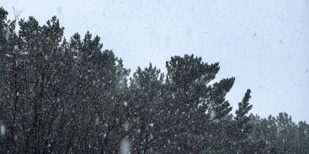 Первый снег в Петербурге выпадет не раньше второй половины октября