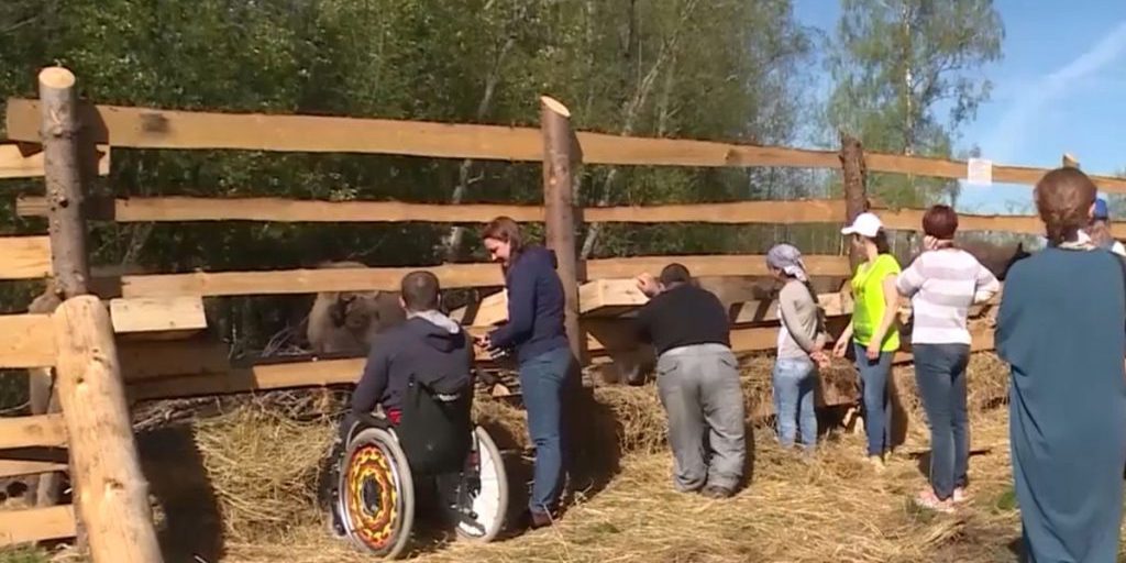Популяция зубров в Смоленском Поозерье пополнится новыми особями