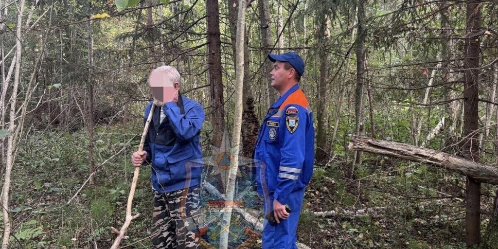 Uomo scomparso nella foresta di Leningrado: le autorità lanciano un'operazione di ricerca e salvataggio