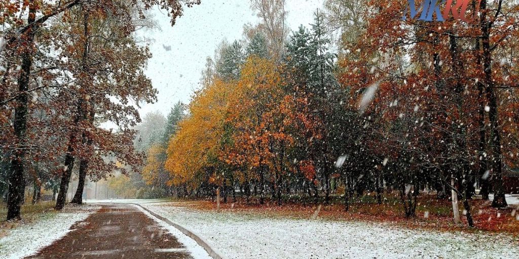 Калужанам обещают ночь без заморозков