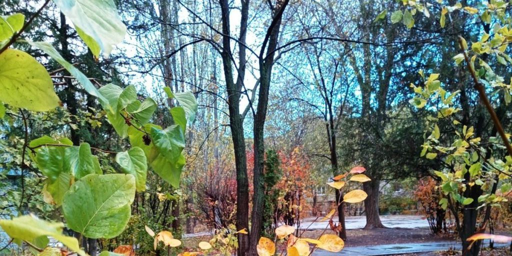 Сила магнитной бури 25 октября составит 4 балла: время оптимизма и активности