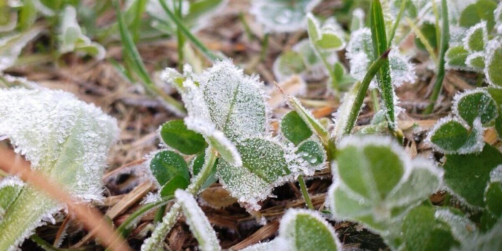 Ленинградцев 19 октября ночью ожидают заморозки, а днем до +8 градусов