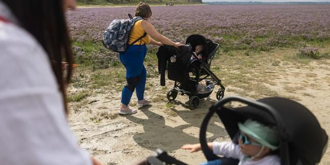 Nuovo congedo di nascita previsto dal bilancio 2026 della sicurezza sociale