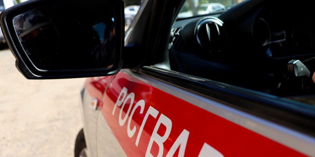 Interventi di emergenza in Mari El: la polizia di sicurezza russa risponde a 187 segnali di allarme