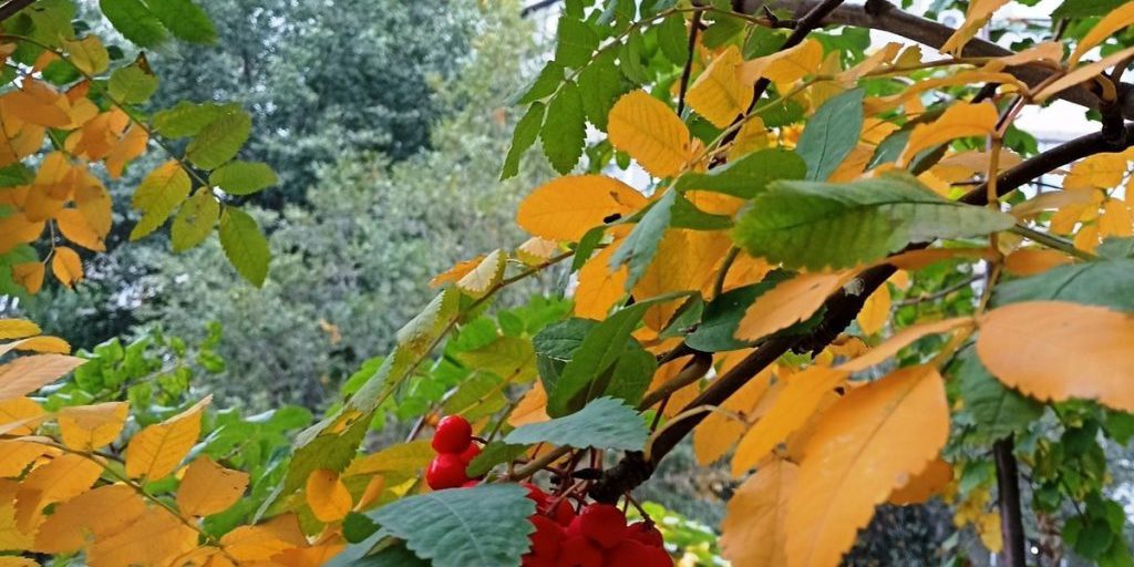 Сила магнитной бури 21 октября составит 3 балла: пора подведения итогов и окончания важных дел