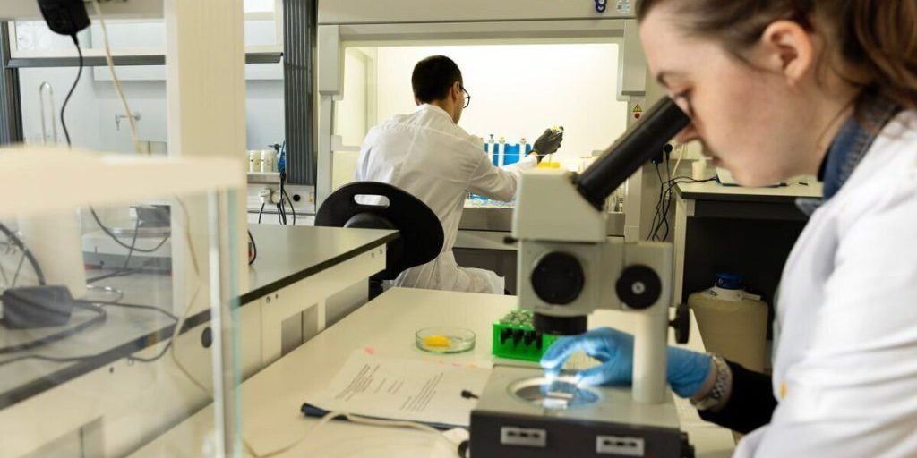 Юные крымские ученые завоевали более 200 наград на всероссийских конкурсах