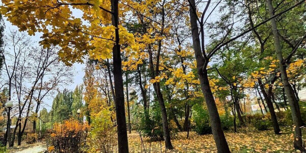 В Воронеже внезапно потеплеет к выходным