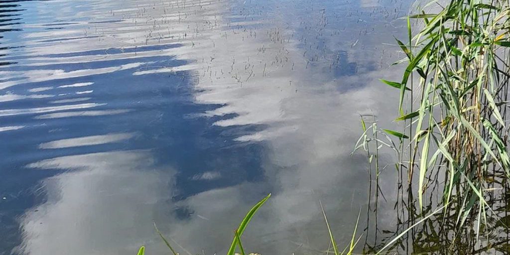 В Новгородском округе из Мсты выловили утопленника