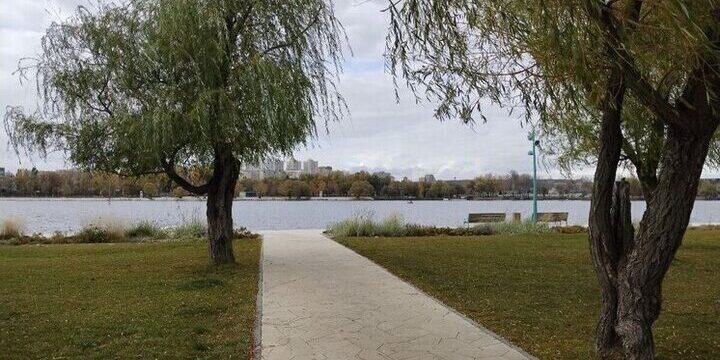 Дожди и сильный ветер придут в Белгородскую область в субботу