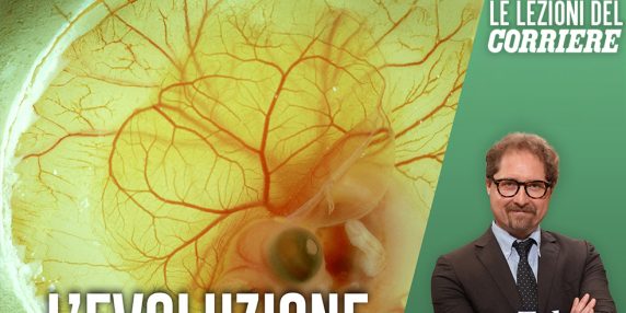 La Teoria dell'Evoluzione di Darwin: Come Tutti gli Esseri Viventi Sono Connessi tra Loro