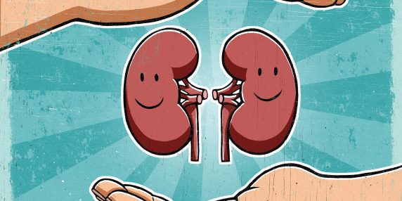 8 regole d’oro per mantenere i reni in salute e prolungare la loro funzionalità