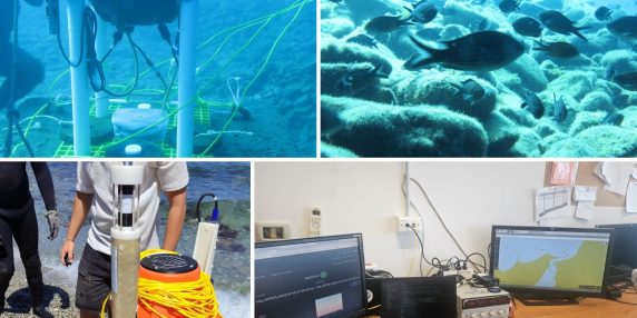 Dal 'canto' dei gamberetti all'impatto delle navi: sensori e IA per sentire la voce del mare | L'audio