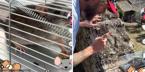 Jovanotti e il topolino sosia di Remy che gli ha mangiato i cavi dello studio di registrazione: «Ti libero e ti auguro bella vita»