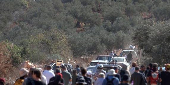 Conflitto in Cisgiordania: violenze contro contadini palestinesi e uso di droni contro pacifisti