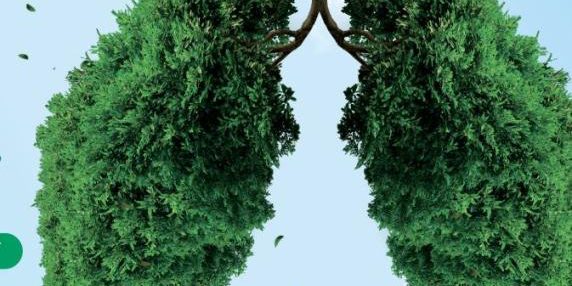 Legambiente avvia 120 iniziative di piantumazione per aumentare la copertura verde in Italia e contrastare la deforestazione globale