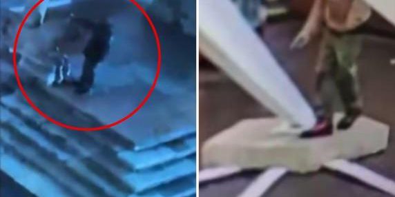 Video mostra uomo che tenta di danneggiare i leoni di San Zeno a Verona