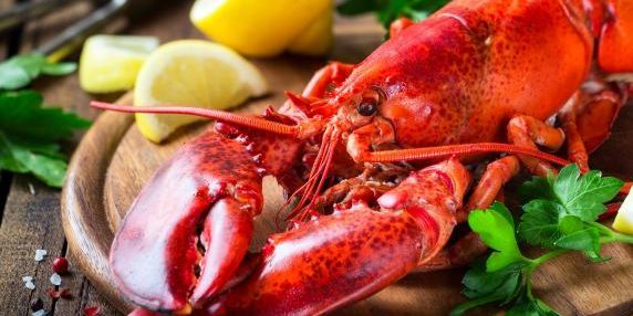 Regno Unito intende vietare la bollitura di crostacei vivi