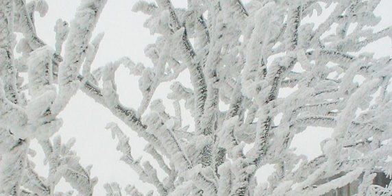 Torino registra freddo record: galaverna, calà e calabrosa tornano in uso