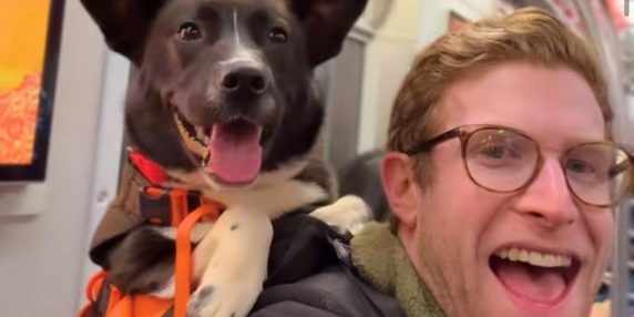Brian porta i cani dei rifugi in metropolitana per aumentare le possibilità di adozione