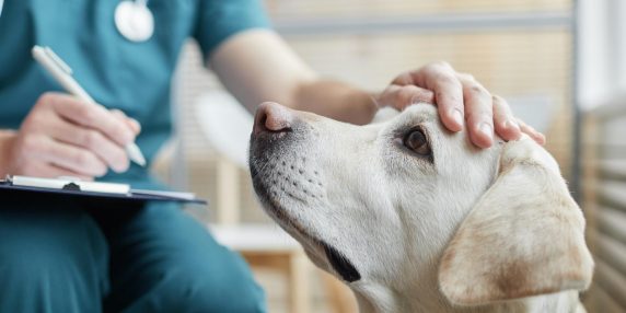 699066c20a7ed.r_d.1060-755-0