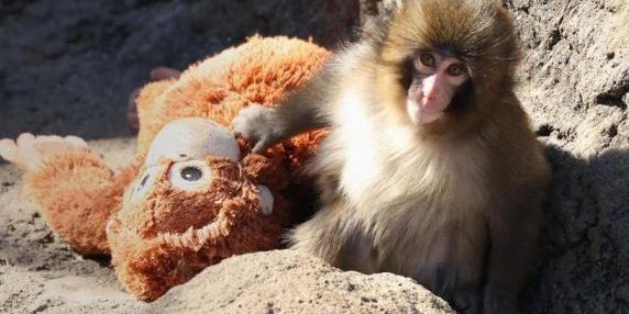 69983ee56c2c5.r_d.436-258-0