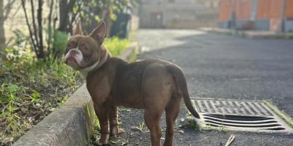 699987178237b.r_d.283-309-0