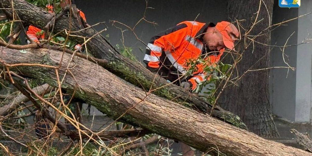 Севастопольские коммунальщики устраняют последствия непогоды