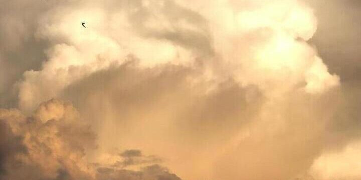 В Чечне произошло землетрясение магнитудой 3,6 балла