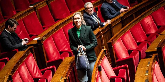 La legge che vieta i social media ai minori di 15 anni viene ridotta dopo l’opinione del Conseil d’État