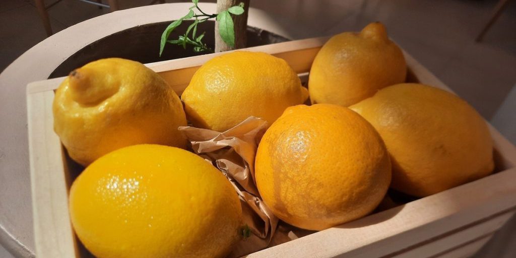 Осенний рацион: какие продукты помогут укрепить иммунитет в октябре