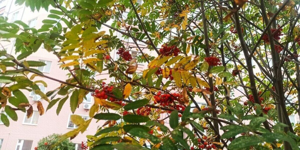 Опасное природное явление надвигается на Костромскую область