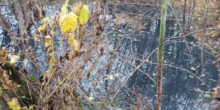 Рядом с калужским эко-парком «организовали» слив нечистот