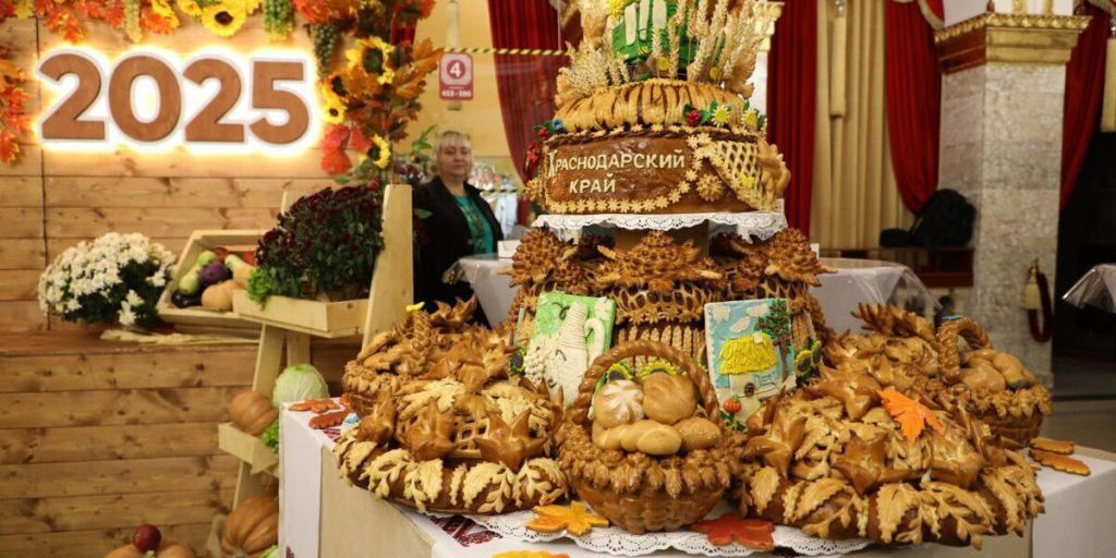 Кубанские аграрии в 2025 году собрали 11,3 миллиона тонн зерна