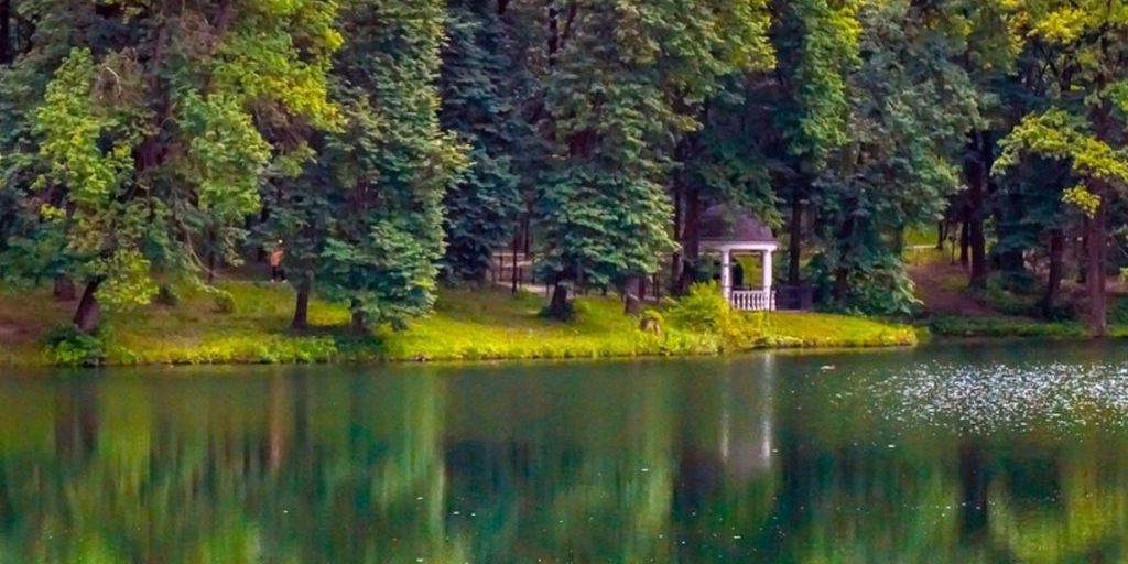 Allerta incendi nella regione di Tula: alta pericolosità e possibili conseguenze per l'ambiente e la sicurezza pubblica