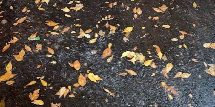 Засентябрило: во вторник воронежцев ожидает прохладная погода без дождей