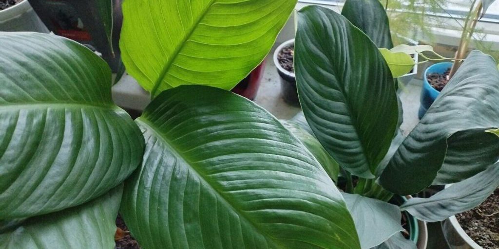 Директор Калининградского музея янтаря рассказал о попытках ограбления